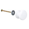 Large Napier Cupboard Knob in Gloss White