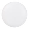 Small Napier Cupboard Knob in Matt White