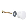 Small Napier Cupboard Knob in Matt White