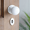 Holkham Door Knob, Rowley Plate, Matt White