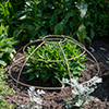 Plant Cage (Large) in Antiqued Brass