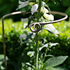 Hoop Plant Support in Antiqued Brass