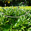 Peony Plant Support in Antiqued Brass