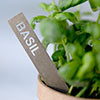 Basil Herb Stake in Antiqued Brass