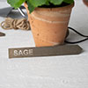 Sage Herb Stake in Antiqued Brass