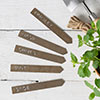 Set of 5 Herb Stakes in Antiqued Brass