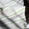 Galway Linen Fabric in Green