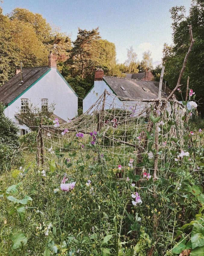 Garden at The Little Mill